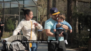 Zoo Praha zahájila svou 91. sezonu
