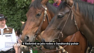 V Radotíně se jelo rodeo o Senátorský pohár