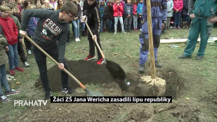 Žáci ZŠ Jana Wericha zasadili lípu republiky