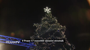 V Praze 17 rozsvítili vánoční stromek