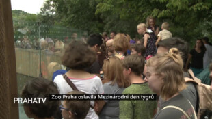 Zoo Praha oslavila Mezinárodní den tygrů