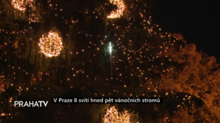 V Praze 8 svítí hned pět vánočních stromů
