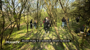 Ekoden Prahy 4 se tentokrát zaměřil na Braník