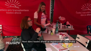 Noví dárci kostní dřeně se registrovali v Zoo Praha