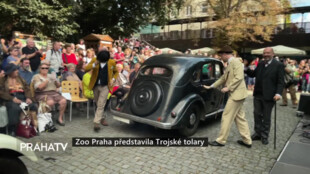 Zoo Praha představila Trojské tolary