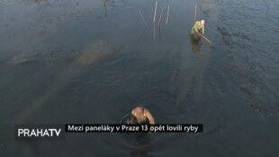 Mezi paneláky v Praze 13 opět lovili ryby
