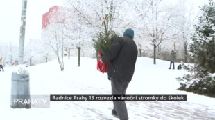 Radnice Prahy 13 rozvezla vánoční stromky do školek