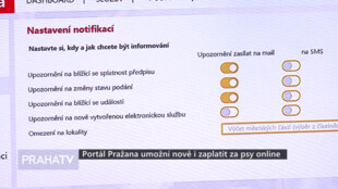 Portál Pražana nově umožní zaplatit i za psy online