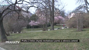 Praha 2 letos chystá revitalizaci parků a obnovu zeleně