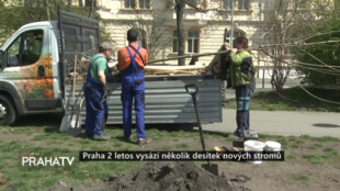Praha 2 letos vysází několik desítek nových stromů