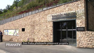 Zoo Praha představila plánované projekty