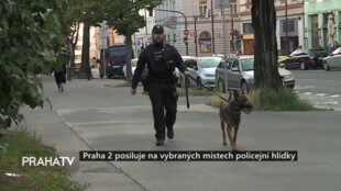 Praha 2 posiluje na vybraných místech policejní hlídky