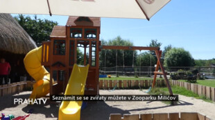Seznámit se se zvířaty můžete v Zooparku Milíčov