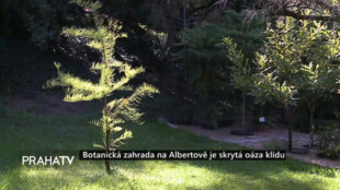 Botanická zahrada na Albertově je skrytá oáza klidu