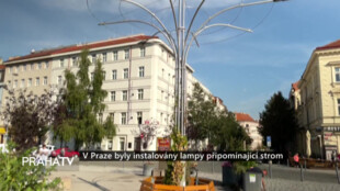 V Praze byly instalovány lampy připomínající strom
