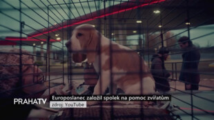 Europoslanec založil spolek na pomoc zvířatům