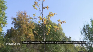 Praha 13 oslavila Den stromů. V parku s dětmi vysadila dub