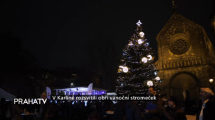 V Karlíně rozsvítili obří vánoční stromeček