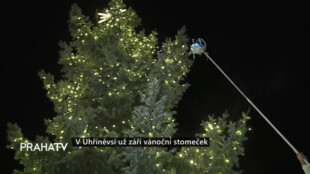V Uhříněvsi už září vánoční stromeček