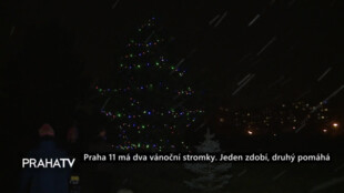 Praha 11 má dva vánoční stromky. Jeden zdobí, druhý pomáhá