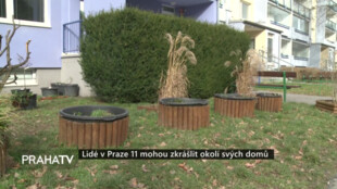 Lidé v Praze 11 mohou zkrášlit okolí svých domů