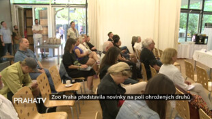 Zoo Praha představila novinky na poli ohrožených druhů