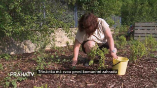 Třináctka má svou první komunitní zahradu