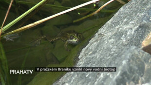 V pražském Braníku vznikl nový vodní biotop