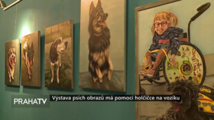Výstava psích obrazů má pomoci holčičce na vozíku