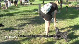 Park Pražská nabídne vyžití pro lidi i pro psy