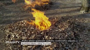 Praha omezí spalování suchého rostlinného odpadu