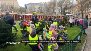 Náměstí Míru oživily vánoční stromky školáků z Prahy 2