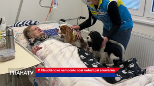 V Klaudiánově nemocnici nosí radost psi a kavárna