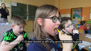 V ZŠ Mezi školami se děti učily správné dentální hygieně