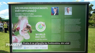 Praha 6 se připojila ke Světovému dni včel