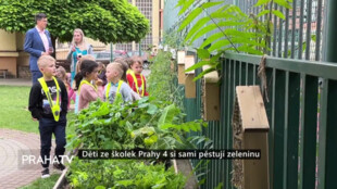 Děti ze školek Prahy 4 si samy pěstují zeleninu