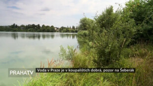 Voda v Praze je v koupalištích dobrá, pozor na Šeberák