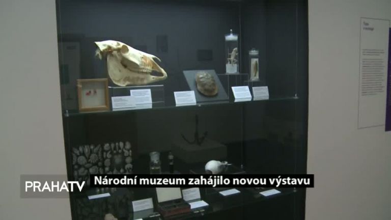 Národní muzeum zahájilo novou výstavu