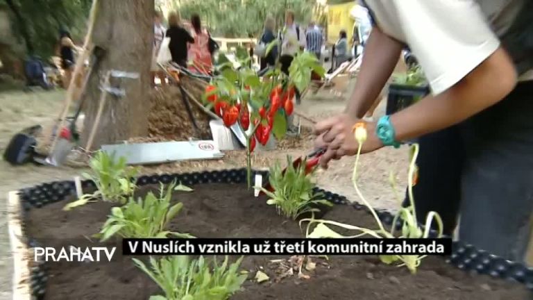 V Nuslích vznikla už třetí komunitní zahrada 