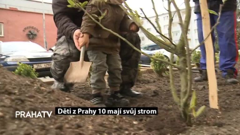 Děti z Prahy 10 mají svůj strom