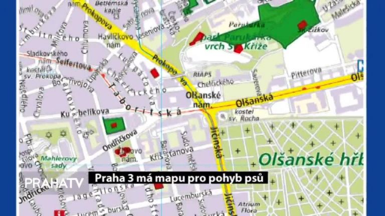 Praha 3 má mapu pro pohyb psů