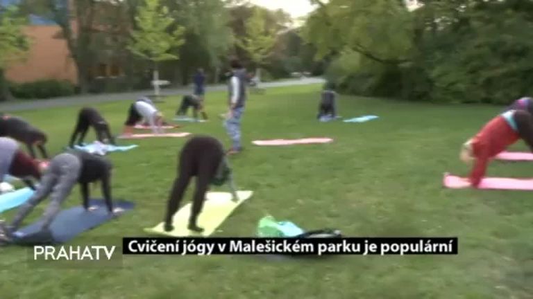 Cvičení jógy v Malešickém parku je populární