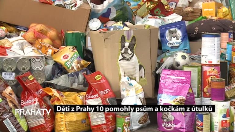 Děti z Prahy 10 pomohly psům a kočkám z útulků 