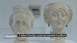 V Galerii Smečky vystavují manželé Preclíkovi 